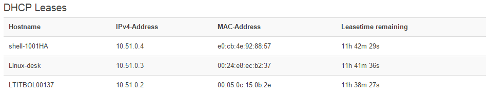 DHCP-Lease.png