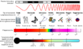 EM Spectrum Properties it.svg