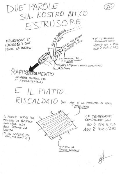 File:Oloturia3Drag006.jpg