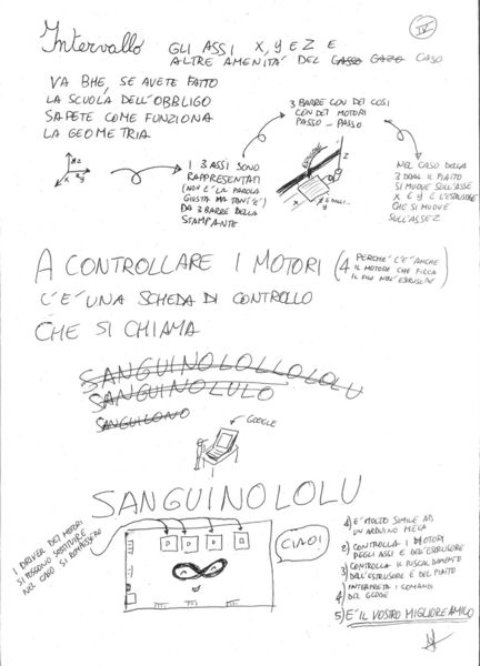 File:Oloturia3Drag004.jpg